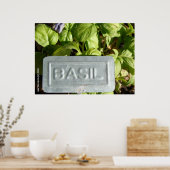 Basil Poster (Küche)
