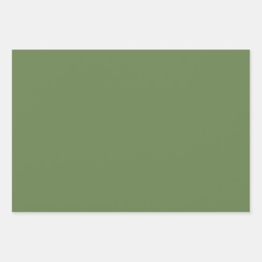 Basil & Sage Wrapping Paper Flat Sheet Set of 3 Geschenkpapier Set (Vorderseite 2)