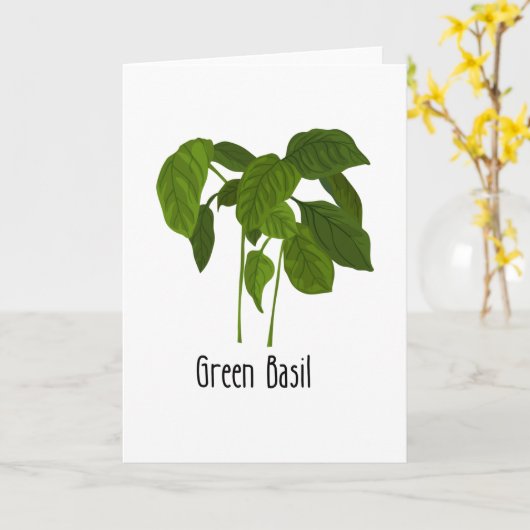 Basil Spices Herb Karte (Gelbe Blume)