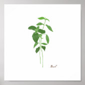 Basil Stem Illustration | Herbs Kitchen Wall Art Poster (Vorne)