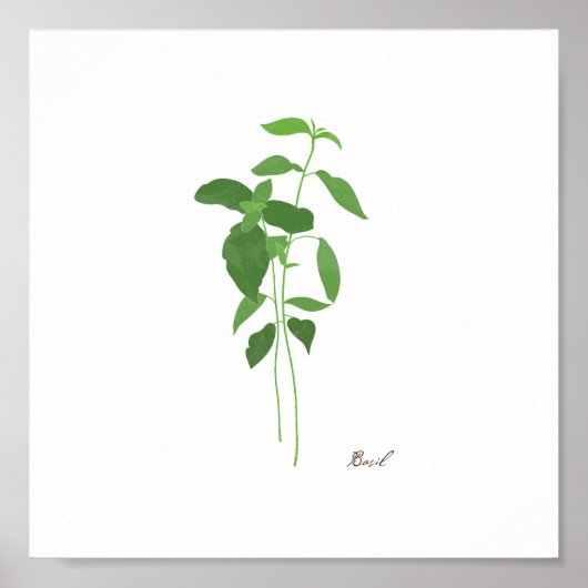 Basil Stem Illustration | Herbs Kitchen Wall Art Poster (Vorne)