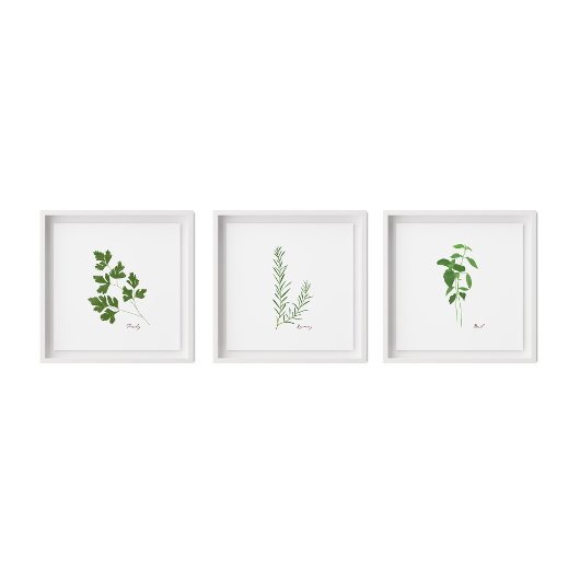 Basil Stem Illustration | Herbs Kitchen Wall Art Poster