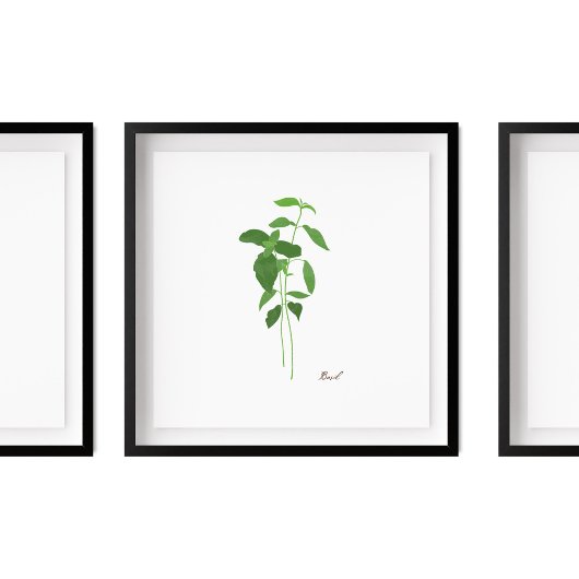 Basil Stem Illustration | Herbs Kitchen Wall Art Poster