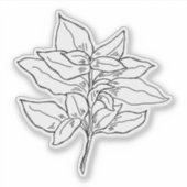 Basil Sticker (Vorderseite)