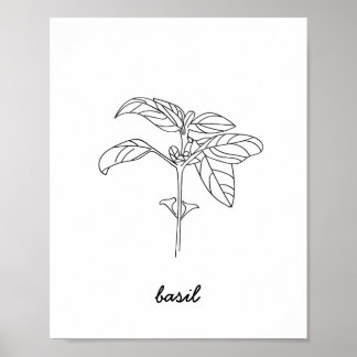 BasiliIllustration Print Poster