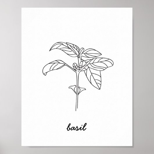 BasiliIllustration Print Poster (Vorne)