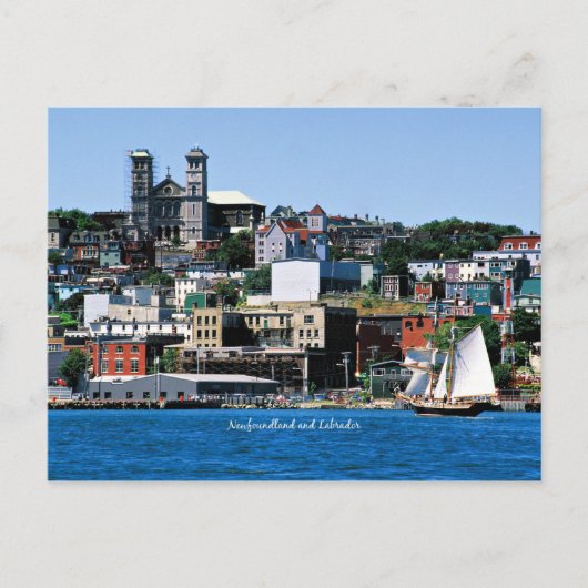 Basilika an der Küste in St. John's Postkarte (Vorderseite)