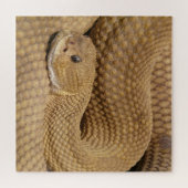 Basilisk Pit Viper Rattlesnake Puzzle (Horizontal)