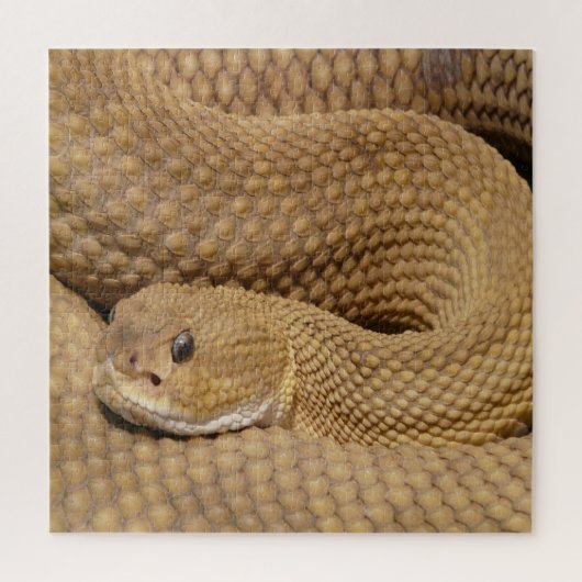 Basilisk Pit Viper Rattlesnake Puzzle (Vertikal)