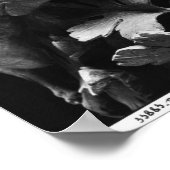 Basilisk Poster (Ecke)