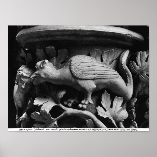 Basilisk Poster (Vorne)