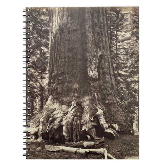 Basis des Graubär-Riesen, 'vom Yosemite-Buch Notizblock (Vorderseite)