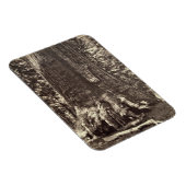 Basis des Grizzly-Riesen, aus dem Yosemite-Buch Magnet (Rechte Seite)