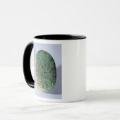 Basis eines Heiratscarabäus von Amenhotep III Tasse (Vorderseite Links)