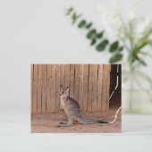 Basische Postkarte mit Halbmattglanz (Stehend Vorderseite)