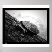 Baskenland Poster (Vorne)