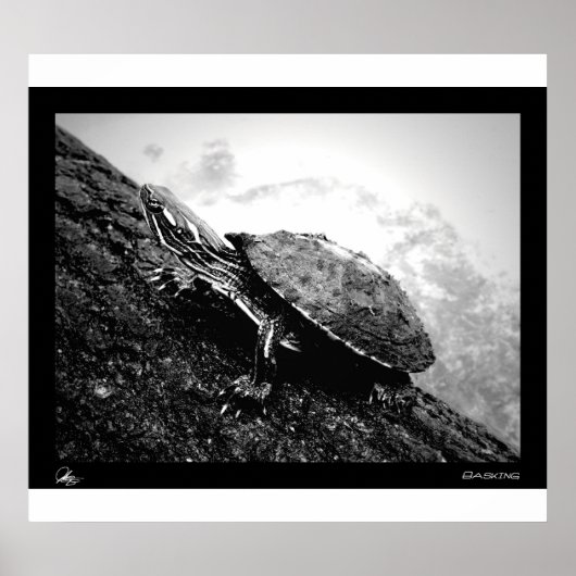 Baskenland Poster (Vorne)