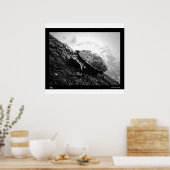 Baskenland Poster (Küche)