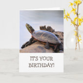 Baskenmalte Schildkröte Natur Geburtstag Karte (Gelbe Blume)
