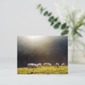 Baskenschaf Postkarte (Stehend Vorderseite)