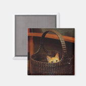 Basket Case Magnet (Vorderseite/Rückseite)