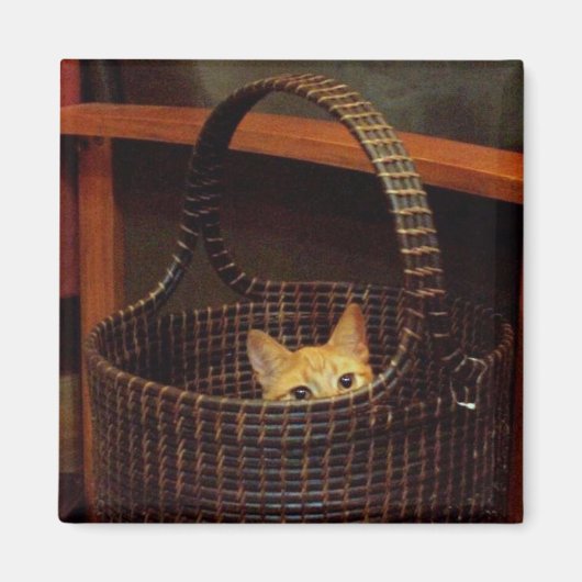 Basket Case Magnet (Vorne)
