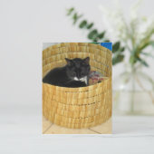 Basket Lucy Postkarte (Stehend Vorderseite)