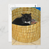 Basket Lucy Postkarte (Vorne/Hinten)