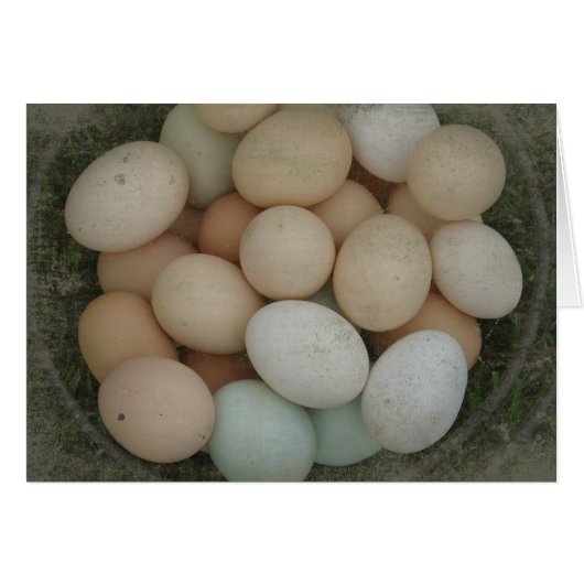 Basket of Eggs (Vorderseite (Horizontal))