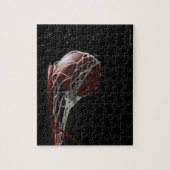 Basketball durch Hub 2 Puzzle (Vertikal)