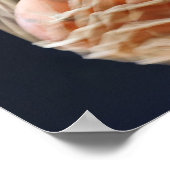 Basketball im Korb. Poster (Ecke)