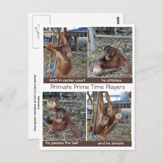 Basketball MVP Hoop Jokes Postkarte (Vorne/Hinten)