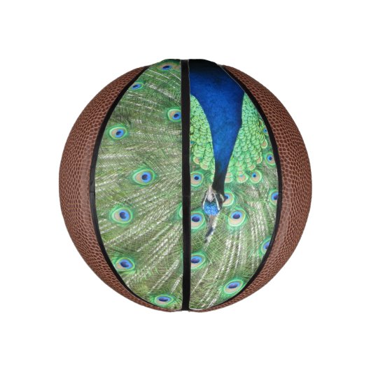 Basketball - Pfau mit Pferdefedern (Vertikal)