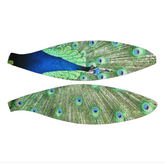 Basketball - Pfau mit Pferdefedern (Panele)