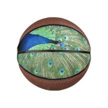 Basketball - Pfau mit Pferdefedern
