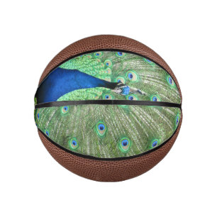 Basketball - Pfau mit Pferdefedern