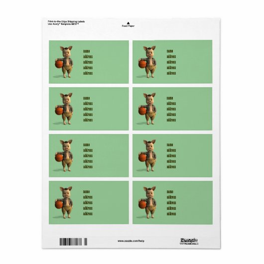 Basketballer Pigment (Vorne)