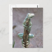 Basking Iguana Postcard Postkarte (Vorne/Hinten)