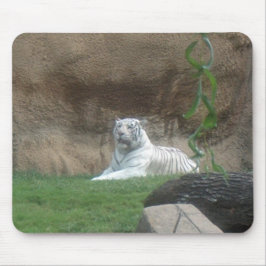 Basking White Tiger Mousepad