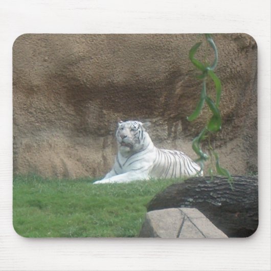 Basking White Tiger Mousepad (Vorne)