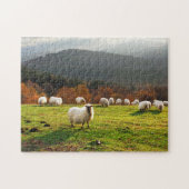 baskische Land latxa Schafe Puzzle (Horizontal)