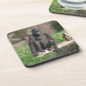 Basoko der junge Gorilla sitzt auf einem Log Getränkeuntersetzer (Linke Seite)