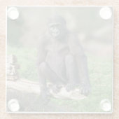 Basoko der junge Gorilla sitzt auf einem Log Glasuntersetzer (Rückseite)