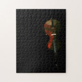 Bass 3 11x14 252pc jpcnm puzzle (Vertikal)