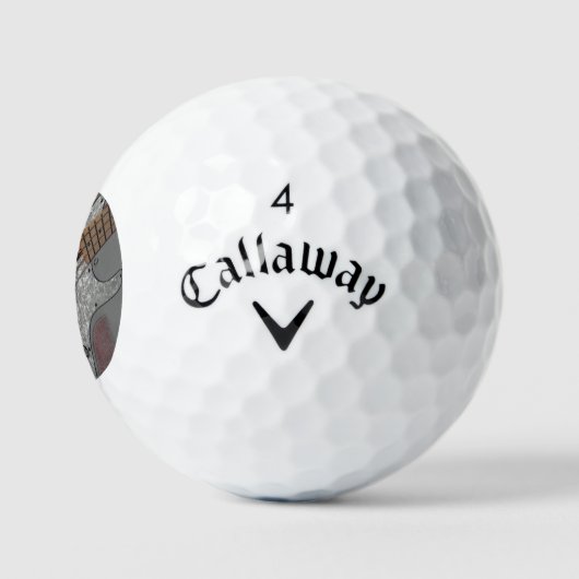 Bass 4 css gbcnm golfball (Logo)