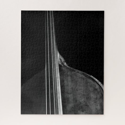 Bass 5 16x20 520pc jpcnm puzzle (Vertikal)