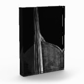 Bass 5 pbccnm fotoblock (Links)
