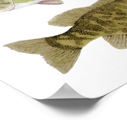 Bass Art Poster (Ecke)