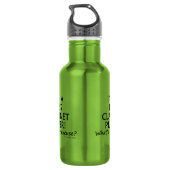 Bass Clarinet Player Entschuldigung Edelstahlflasche (Rückseite)