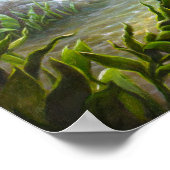 Bass Fish Poster (Ecke)